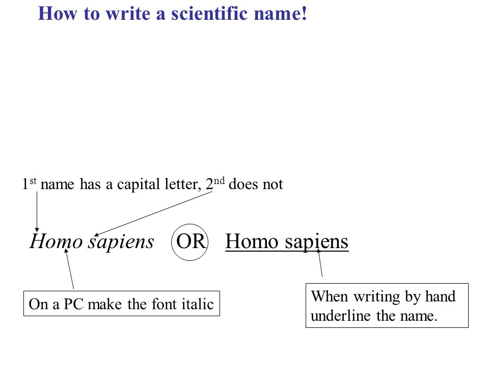What’s in a name? Scientific names for animals in popular writing